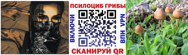 Псилоцибиновые грибы GOLDEN TEACHER  как найти   Дрезна 